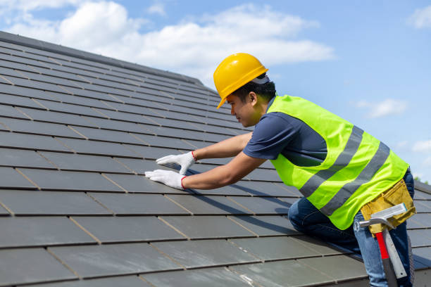 Best Roof Gutter Cleaning  in Lynchburg, MS