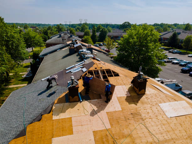 Best Emergency Roof Repair  in Lynchburg, MS